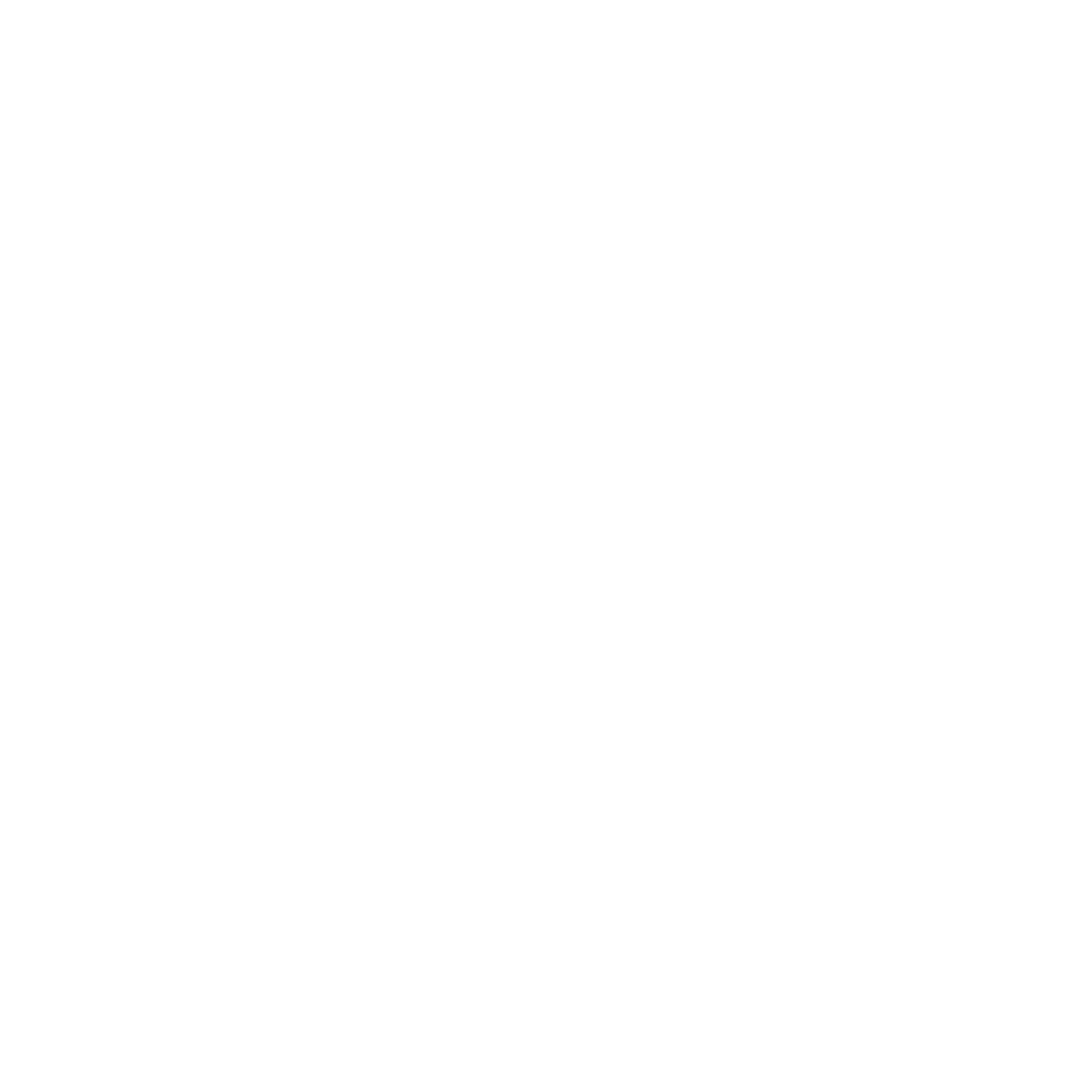 Fast Catalogue Icon